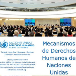 Mecanismos De Derechos Humanos De Naciones Unidas Oficina Del Alto